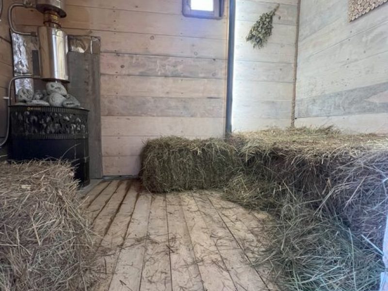 Дом в виде юрты с травяной баней банька