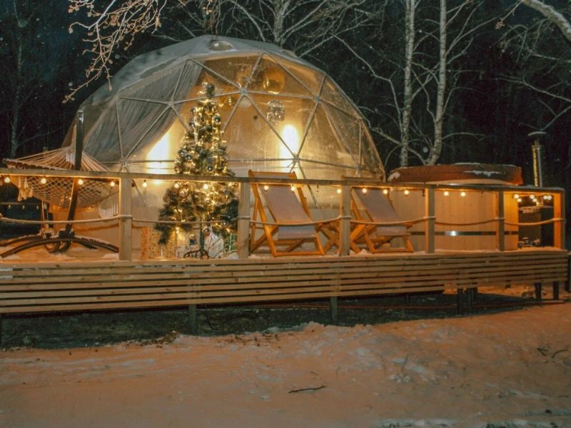 Holidays Forest новогодняя атмосфера
