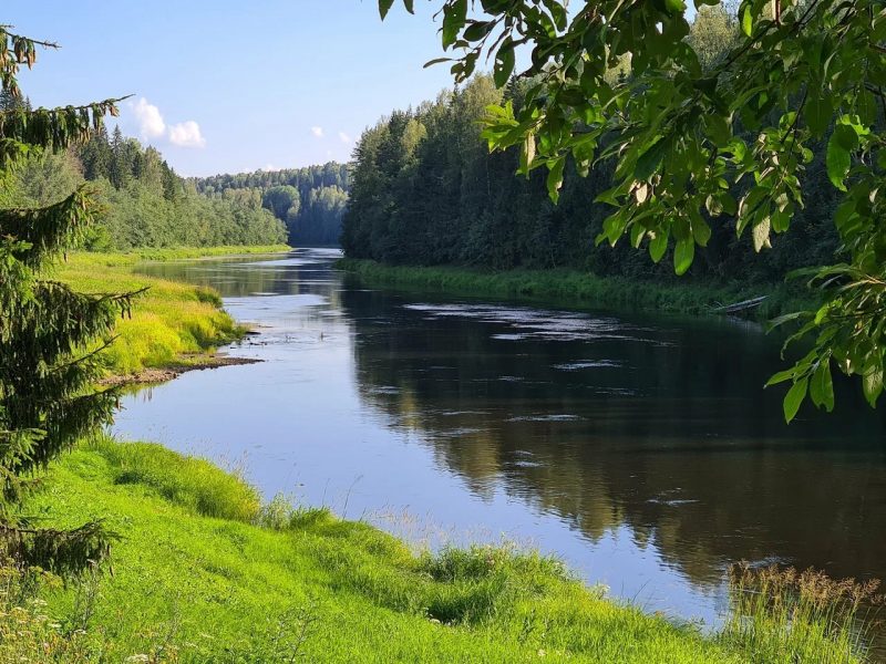 Каменецкие Купели природа