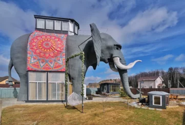 Дом Слон в Подмосковье