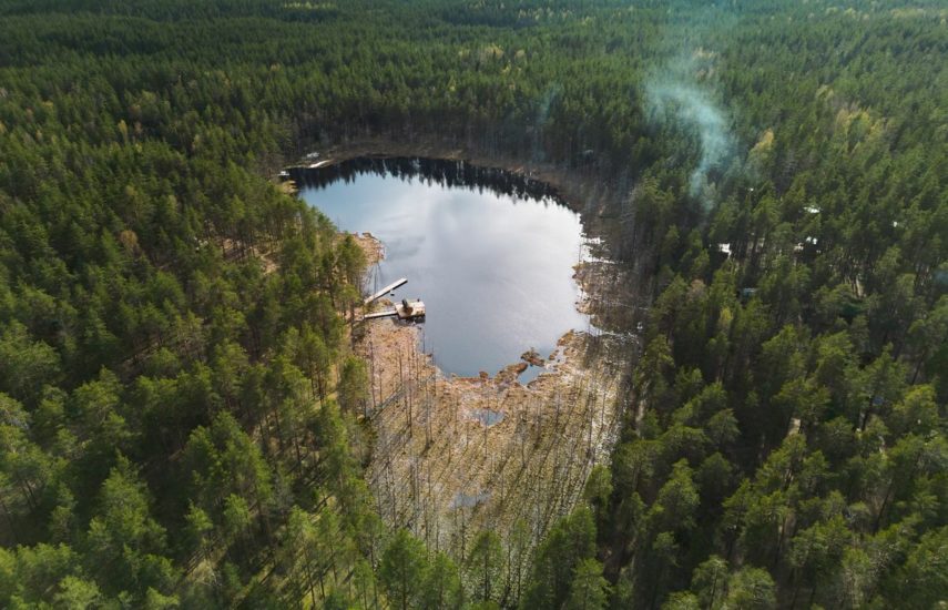 Сферы глэмпинга Forest lake (Ленинградская обл.)