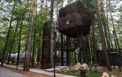 Гнездо на дереве (Казань)