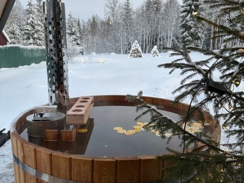 A-frame в лесу купель