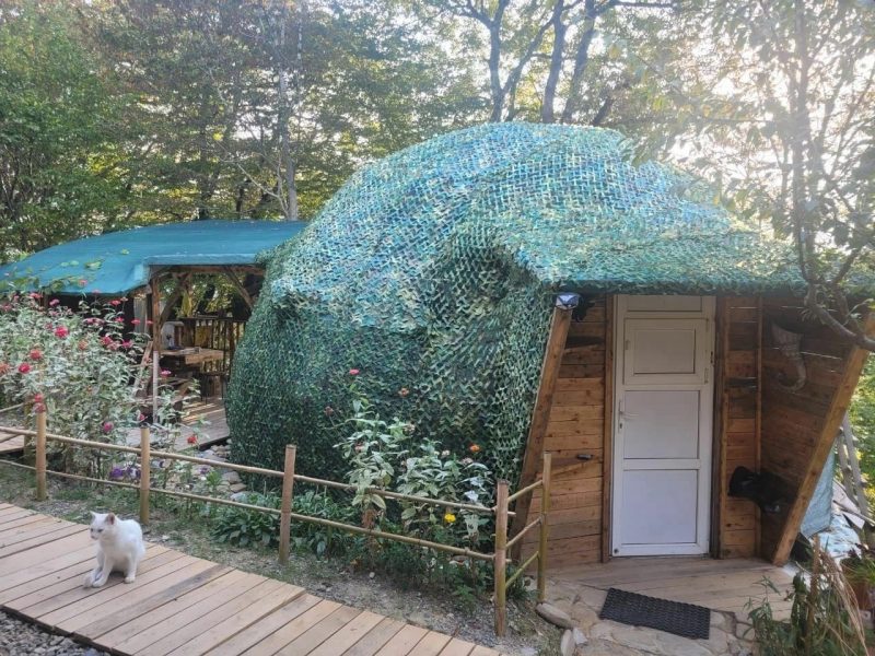 Глэмпинг Avatar в Сочи забронировать