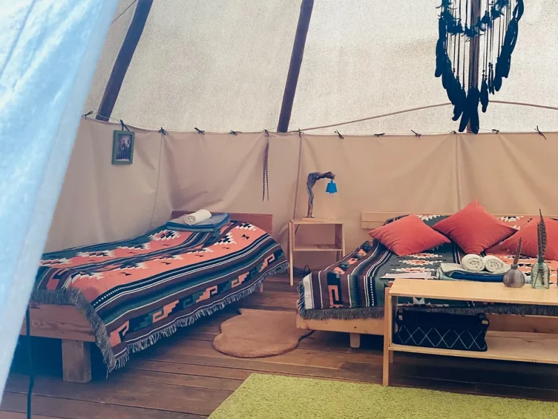 Forest Camping внутри