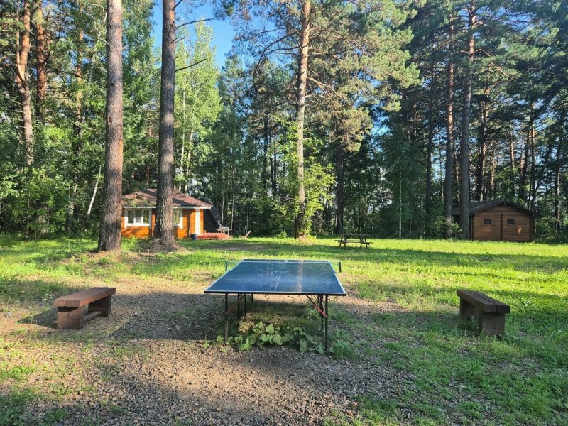 Калтай парк настольный теннис