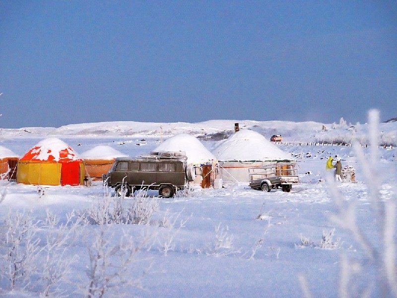 Лагерь Timespot Териберка