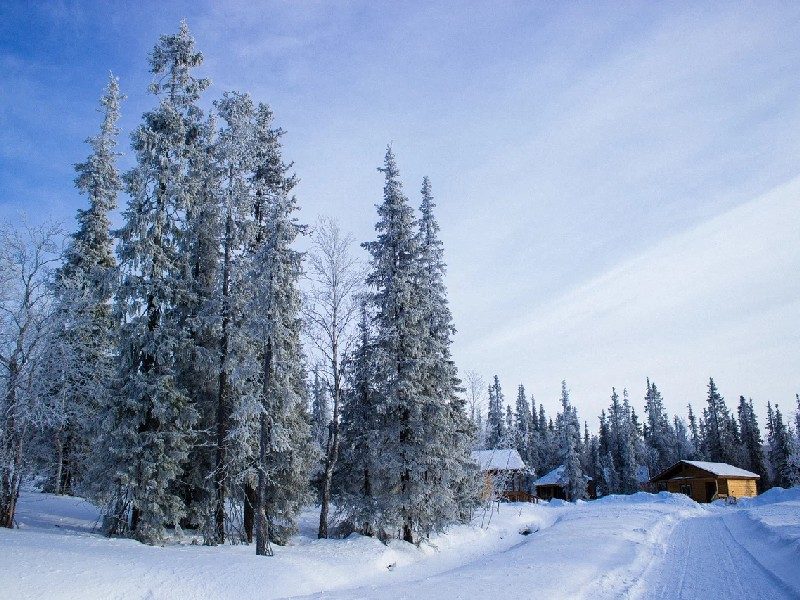 Лапландская деревня природа