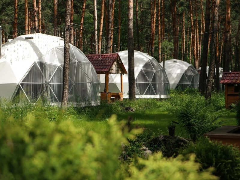 Royal Forest Алтай