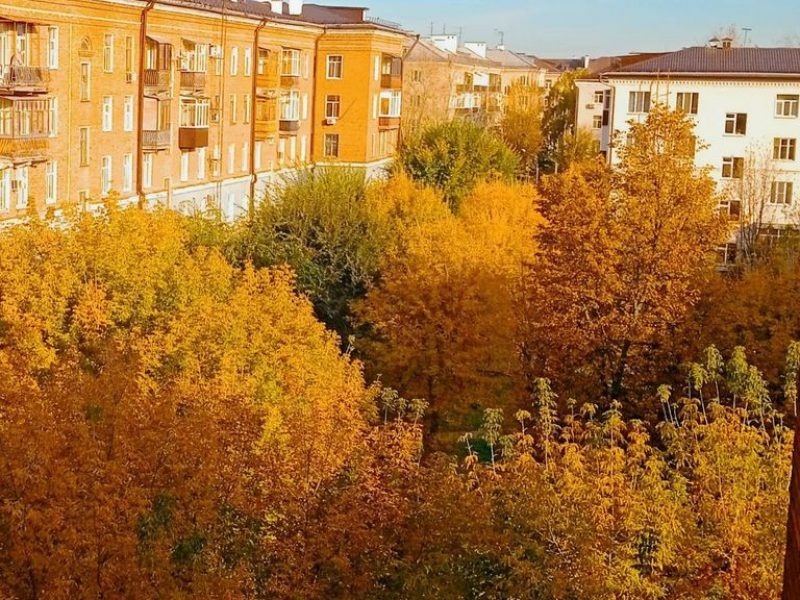 Студия Сказочный лес вид из окна