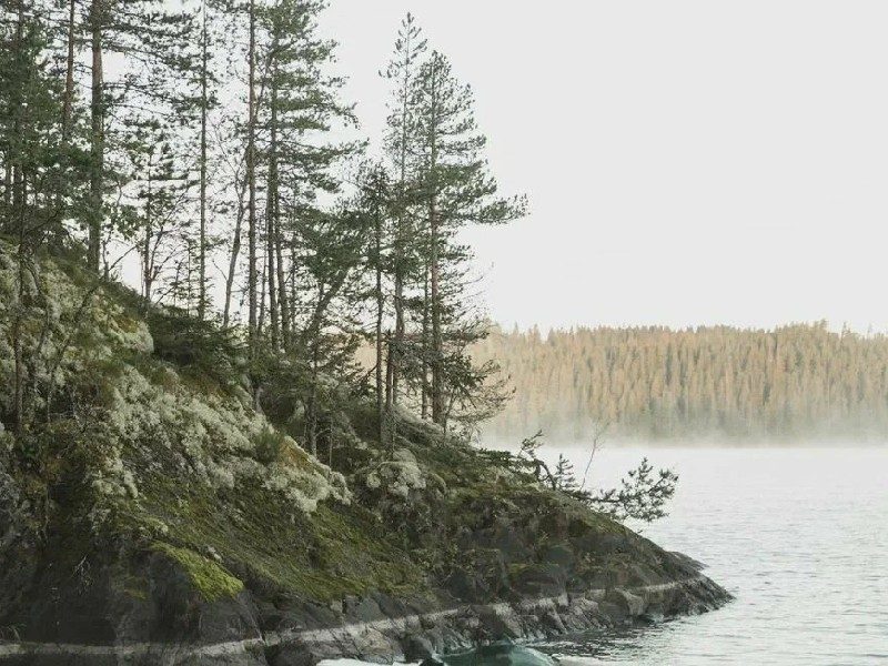 Вили Улей Карелия вид на природу