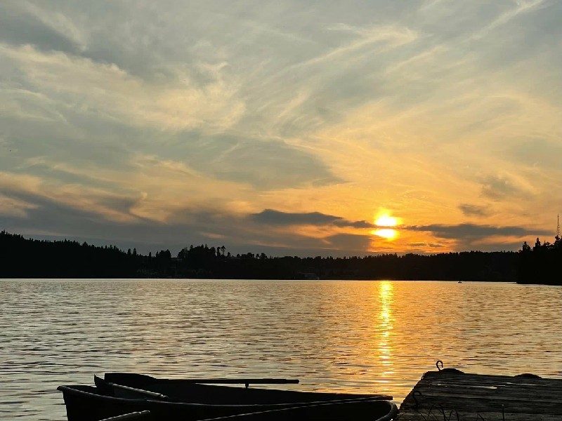 Вили Улей Карелия озеро