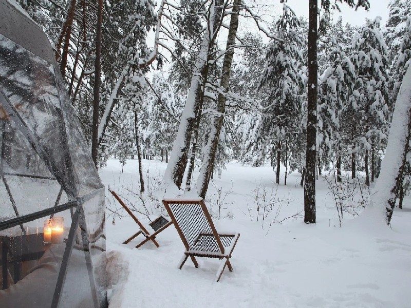 Вили Улей Ока зимой